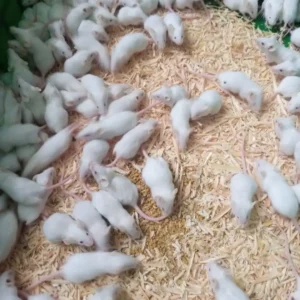 snapinsta.to 624727498 18086637473127428 7625648488915140092 n